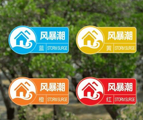 深圳网民张哥最新爆料视频