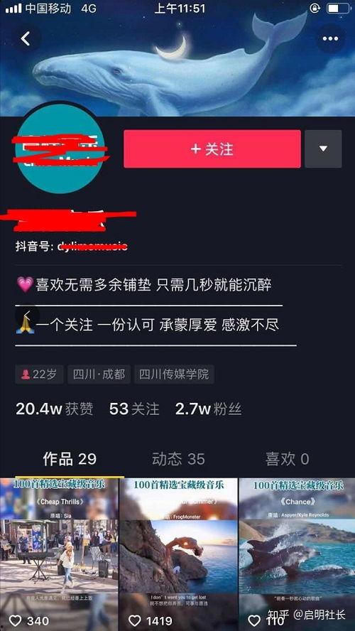 抖音材料爆料怎么弄的视频,如何轻松制作热门视频生成技巧