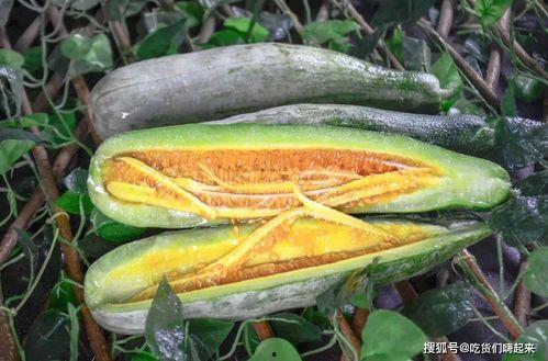 舒城网红吃瓜事件