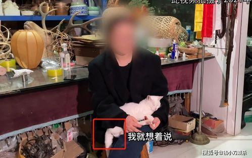 蛋仔博主爆料视频,视频内容大揭秘！