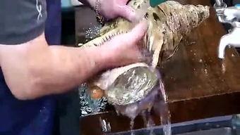 全球猎奇爆料视频大全在线观看,猎奇爆料视频大全在线揭秘