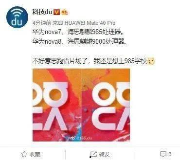 爆料新闻找什么博主,深度解析知名博主独家解读