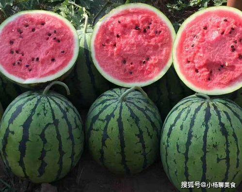 吃瓜网站网免费看,带你畅游娱乐资讯海洋