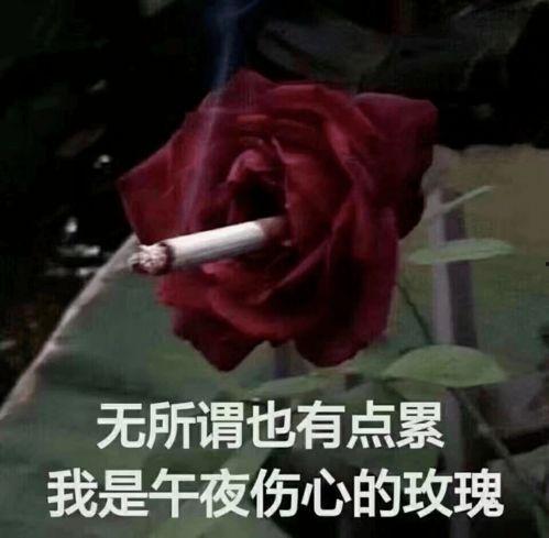 外国人看黄泉爆料视频,外国人视角下的神秘爆料视频全解析