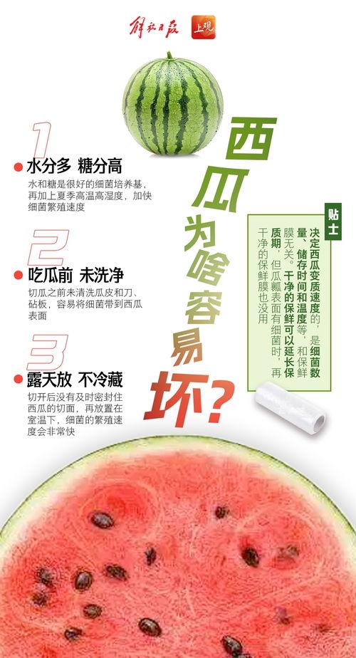 我摆烂吃瓜完整版免费阅读,揭秘娱乐圈幕后故事免费阅读全记录
