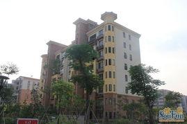 武安银河湾小区最新爆料,揭秘神秘项目真相与居民反响