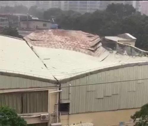 最新爆料台风事件,台风肆虐，多地紧急应对，损失情况持续更新