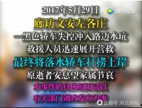 文安爆料视频最新一期,揭秘幕后真相，热点事件再掀波澜