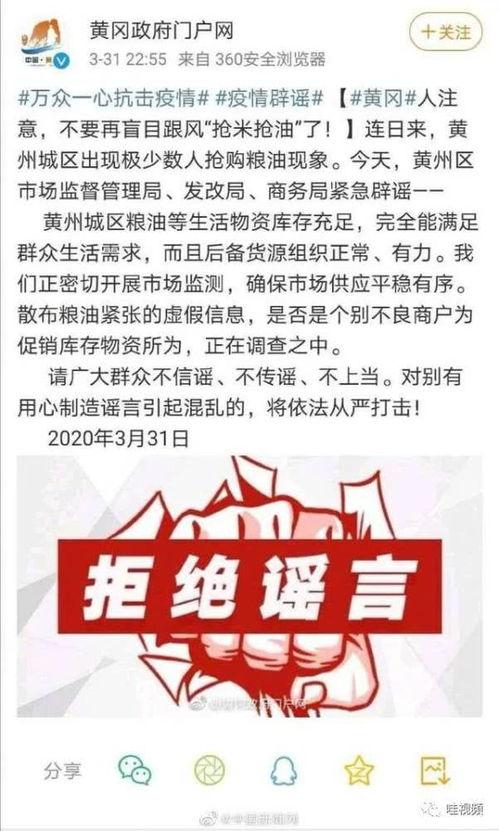 文安爆料视频最新一期,揭秘幕后真相，热点事件再掀波澜