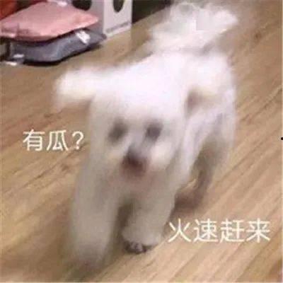 吃瓜娱乐圈聊天记录截图