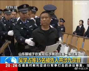 吴学占案最新爆料,揭秘巨额诈骗背后的惊人内幕