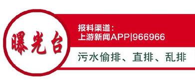 花溪新闻爆料网最新信息,重大事件追踪报道