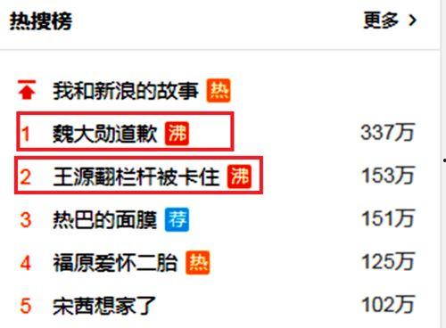 爆料王源魏大勋视频播放,播放量激增引热议