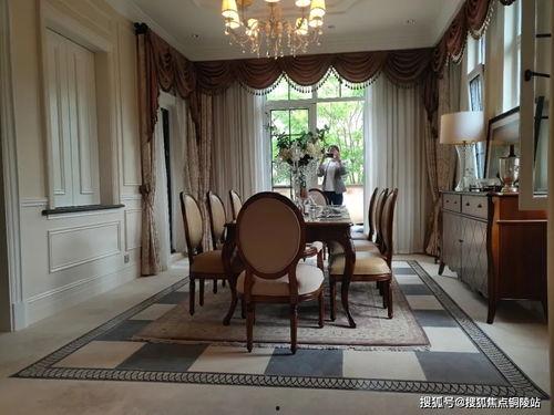 郑州猫舍爆料最新消息,揭秘猫咪界的神秘事件！