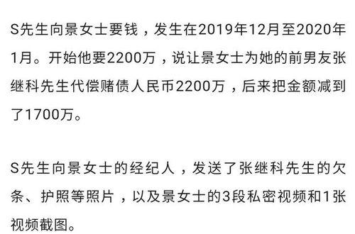 明星隐私大v爆料视频,明星隐私大V爆料视频深度解析