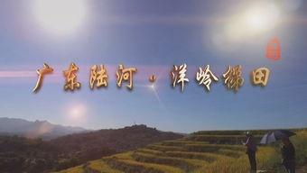 陆河新闻爆料最新情况,重大事件进展及影响揭秘