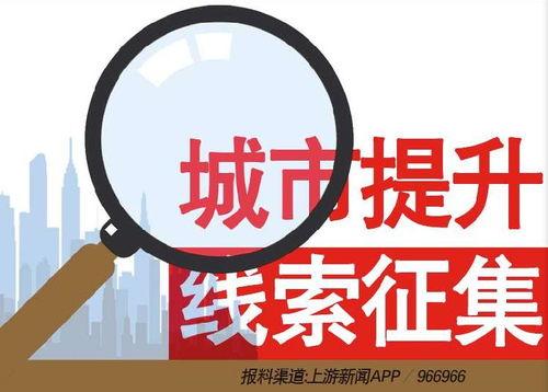 泰州新闻爆料热线电话,倾听民声，守护城市脉搏