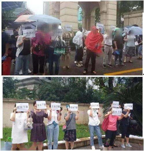 赞皇一中爆料新闻事件最新,真相揭秘，校园安全再引关注