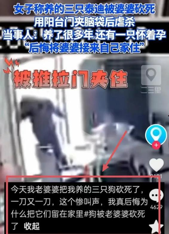 女子爆料婆婆后续视频,真相大白，家庭矛盾再掀波澜