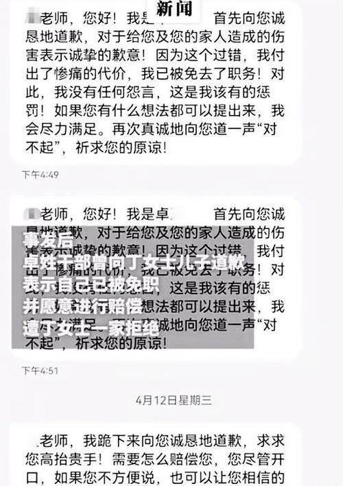 女子爆料婆婆后续视频,真相大白，家庭矛盾再掀波澜