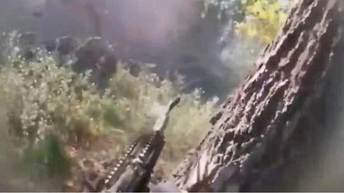 最近俄国爆料视频完整版,完整版内容深度解析