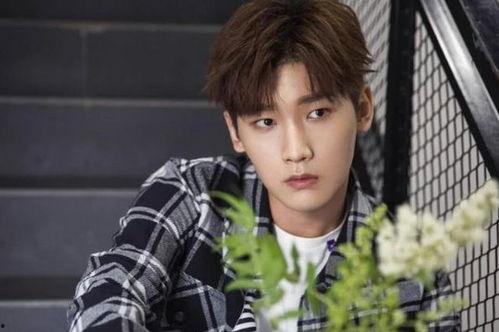 刘宇宁何丹彤恋情爆料最新,甜蜜互动引粉丝热议