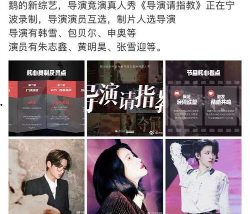 工作人员爆料朱志鑫视频,工作人员揭秘幕后真相