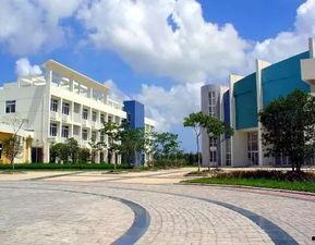 厦门兴才学院爆料事件最新,真相与争议交织的校园风云