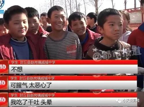 河南姐夫哥最新爆料新闻,揭秘惊人内幕，引发社会热议