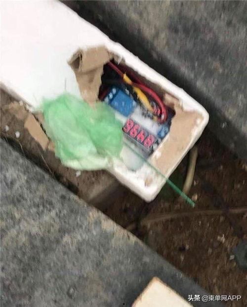 柬埔寨赌场爆料视频最新,揭秘奢华背后的黑暗面