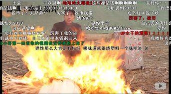 网红爆料小哥视频播放,揭秘热门事件幕后真相