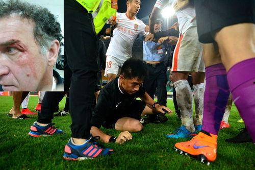 足球主任最新爆料,最新爆料揭示足坛风云变幻