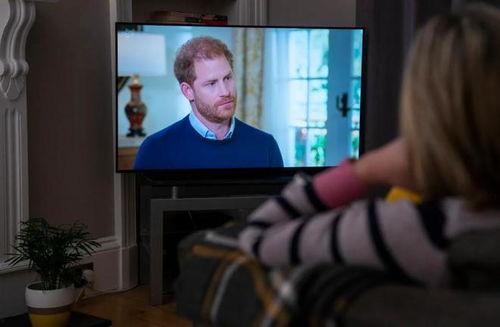 王室最新爆料视频大全免费观看,最新爆料视频大全免费放送