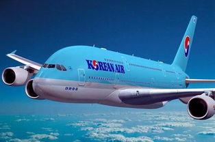 爆料韩国航空公司视频