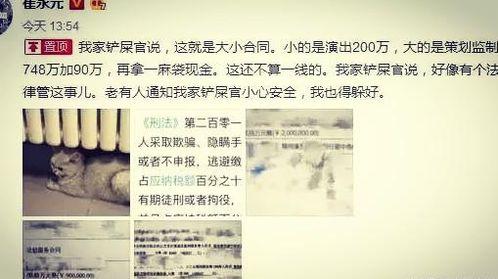 崔永元爆料娱乐圈收入