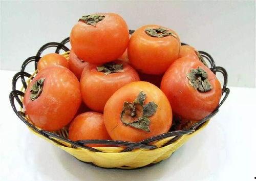 网红柿子爆料视频大全