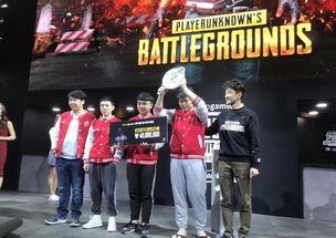 4am最新爆料,揭秘战队新动态与未来布局