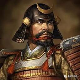 大将战国爆料视频全集,揭秘视频全集背后的惊人真相