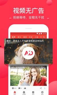 吃瓜学校事件爆料视频下载,揭秘校园内幕视频曝光背后的真相