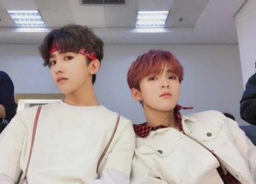 最新爆料大鲜肉视频大全,最新爆料，带你领略网络红人的魅力瞬间