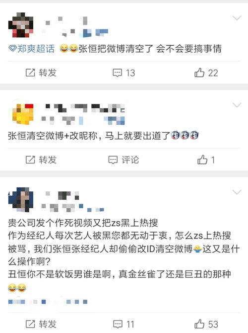 豆瓣爆料娱乐圈张恒,娱乐圈爆料背后的真相与争议