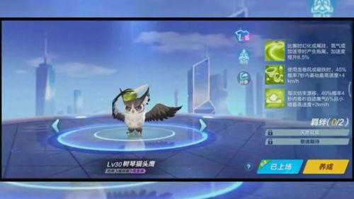 新飞宠即将上线爆料视频