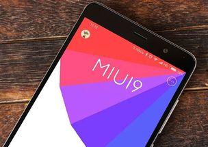 小米k60最新爆料视频,性能与设计大揭秘，前瞻性功能抢先看