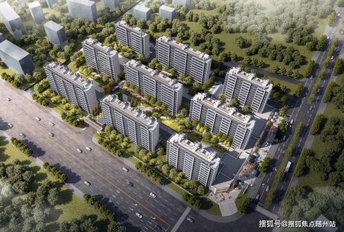 金华外婆爆料新闻最新消息