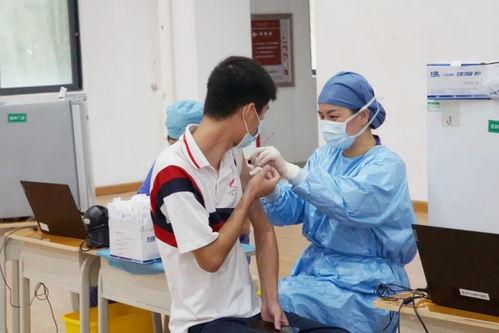 接种 在线观看,在线见证免疫力量