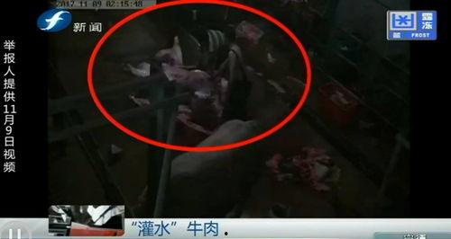 牛道爆料视频完整版,完整版内容深度解析