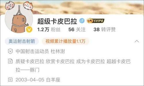 卡哥最新爆料视频下载大全,揭秘幕后真相，尽在这份独家汇总