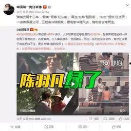何艳君中医被爆料视频,揭秘其神秘面纱背后的真相