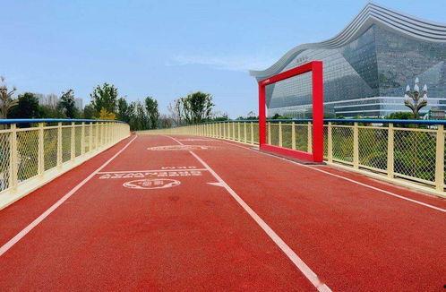 成都高新爆料事件视频播放,揭秘事件背后真相