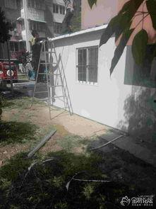 岑溪人家最新爆料,揭秘当地风俗人情与生活变迁